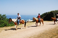 centre equestre en Corse