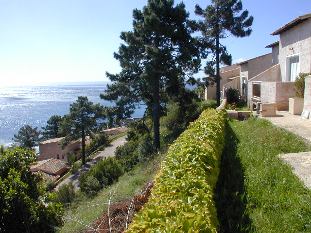 location corse