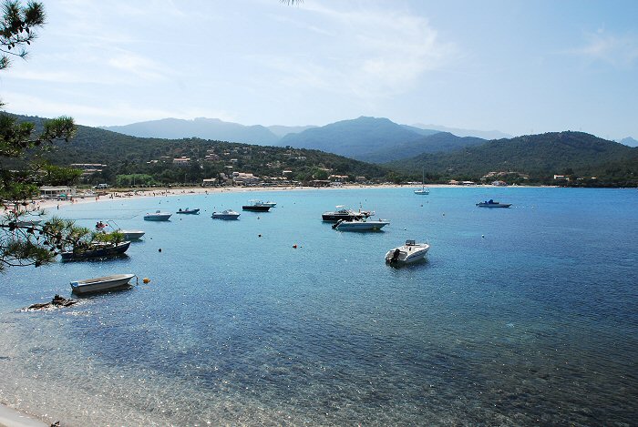 Favona Korsika