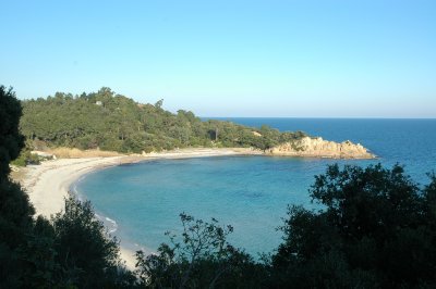 Canella Korsika